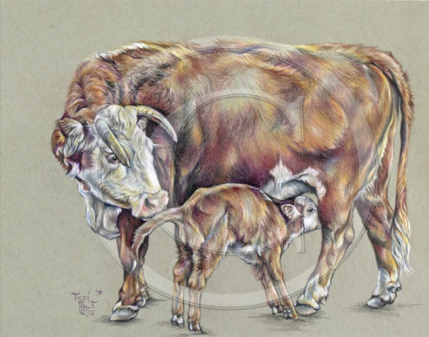 Subzero_copyright_-_Copy